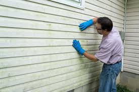 Best Composite Siding  in Riverton, IL